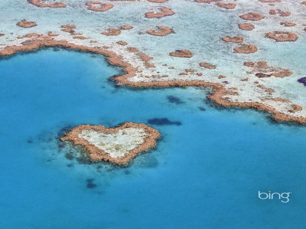 微软Bing 必应主题高清壁纸，澳大利亚，城市景观12 - 1024x768