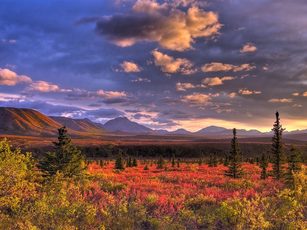 Denali National Park HD Tapety #6 - 1024x768