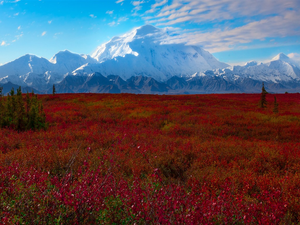 Denali National Park 迪納利國家公園 高清風景壁紙 #7 - 1024x768