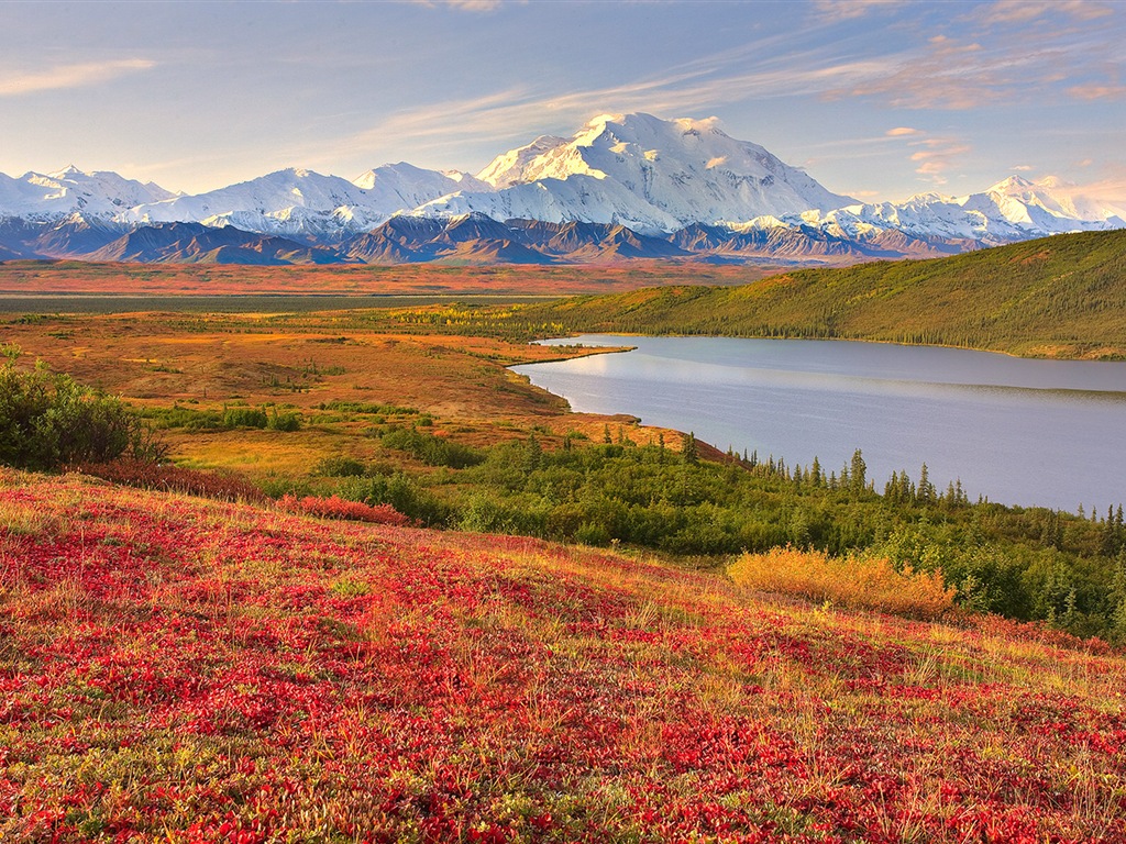 Denali National Park Landschaft HD Wallpaper #10 - 1024x768