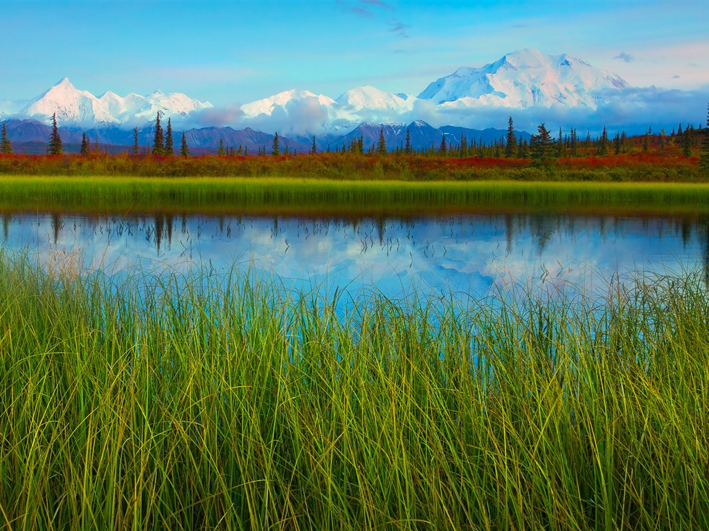 Denali National Park 迪納利國家公園 高清風景壁紙 #11 - 1024x768