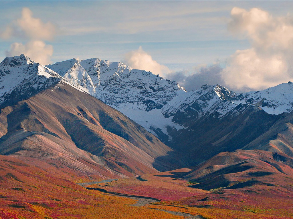 Denali National Park 迪納利國家公園 高清風景壁紙 #15 - 1024x768