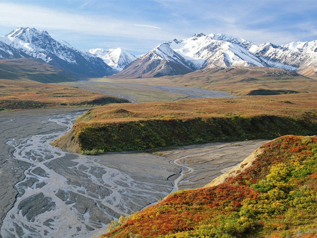 Denali National Park 迪納利國家公園 高清風景壁紙 #20 - 1024x768