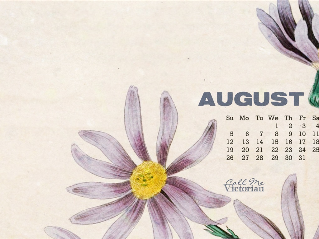 August 2013 calendar wallpaper (1) #2 - 1024x768