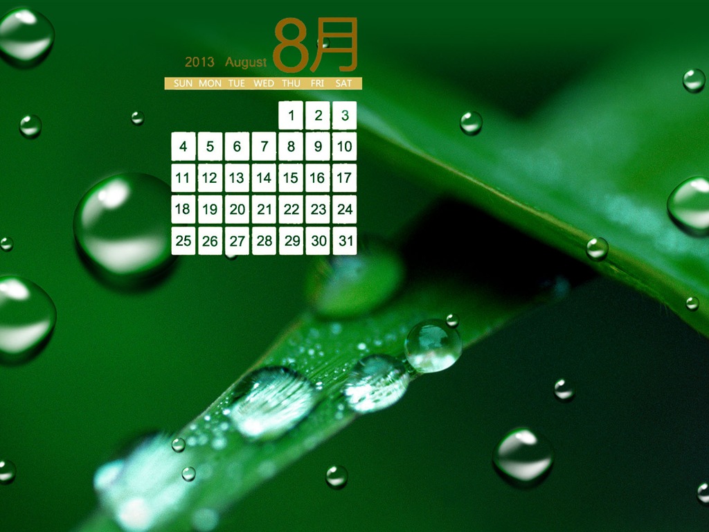 2013年8月 月曆壁紙(一) #14 - 1024x768