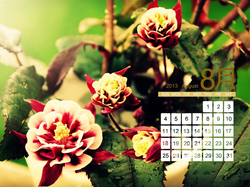 2013年8月 月曆壁紙(一) #18 - 1024x768