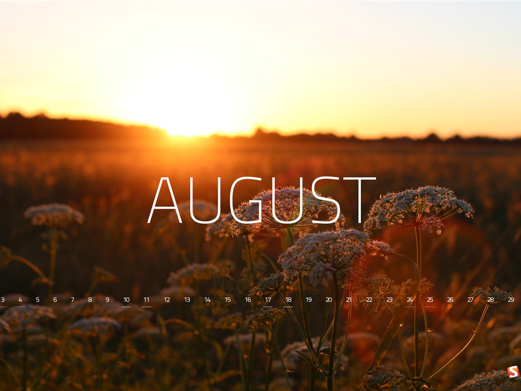 August 2013 calendar wallpaper (2) #2 - 1024x768