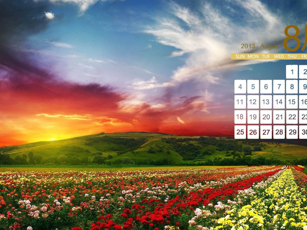 2013年8月 月曆壁紙(二) #18 - 1024x768