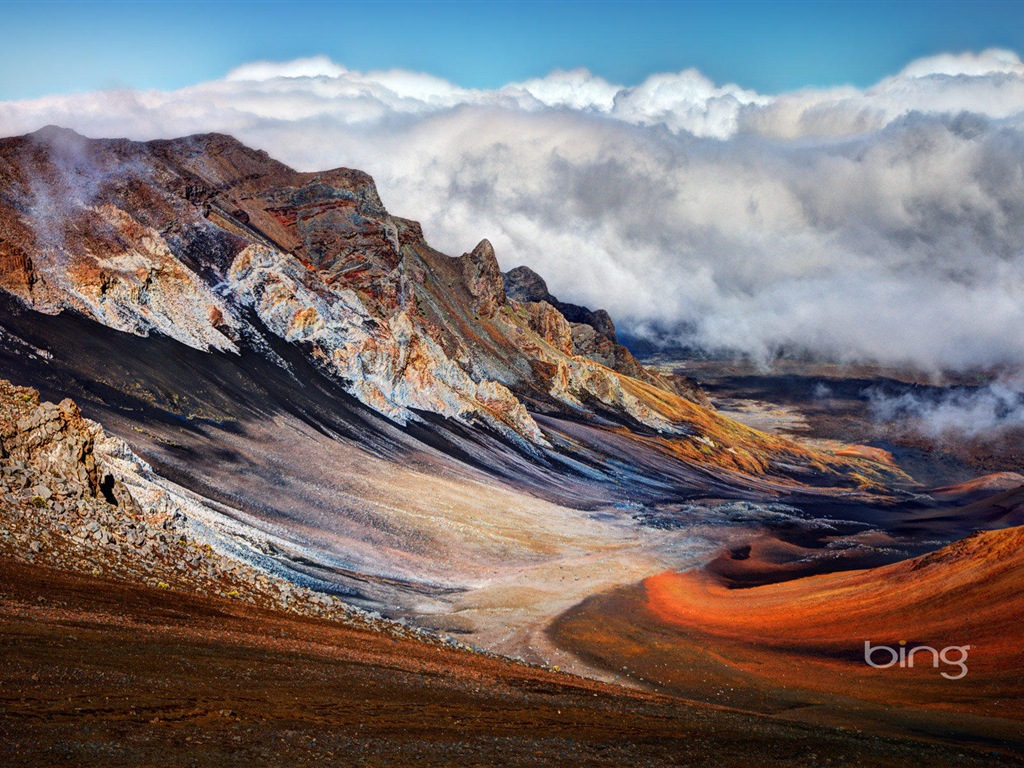 2013 Bing animaux officielles et fonds d'écran HD de paysage #1 - 1024x768