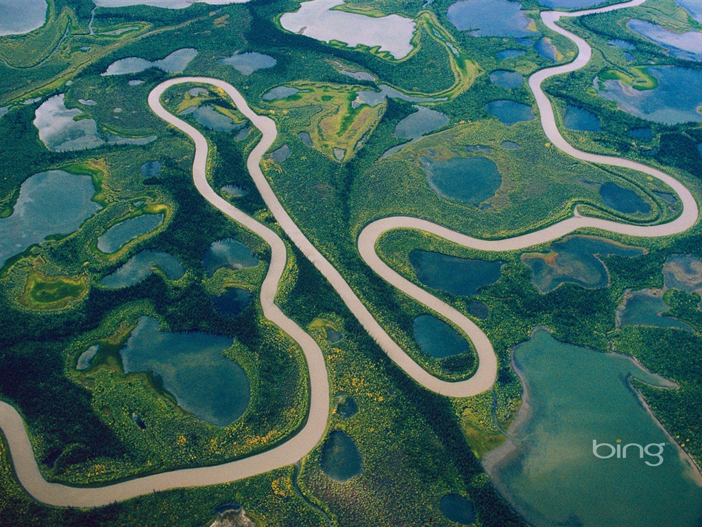 2013 Bing animaux officielles et fonds d'écran HD de paysage #3 - 1024x768