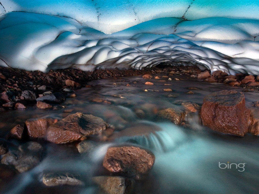 2013 Bing 必应官方动物和风景高清壁纸13 - 1024x768