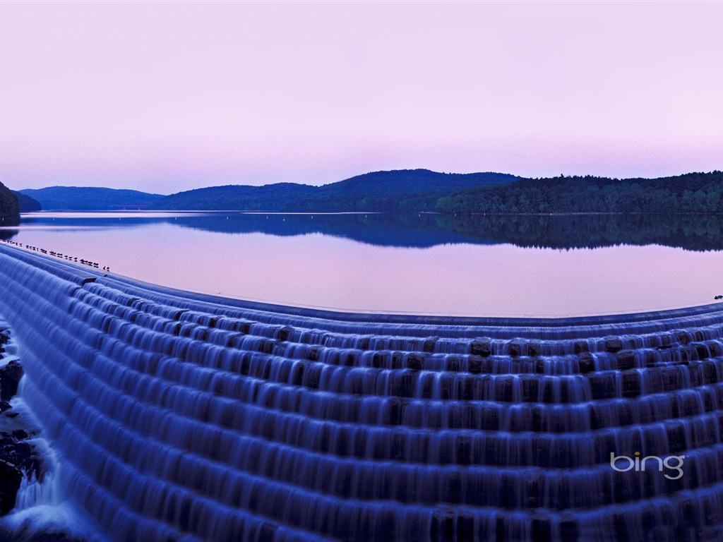 2013 Bing 必應官方動物和風景高清壁紙 #16 - 1024x768