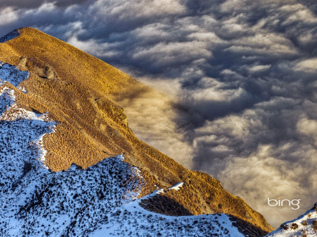 2013 Bing 必應官方動物和風景高清壁紙 #18 - 1024x768
