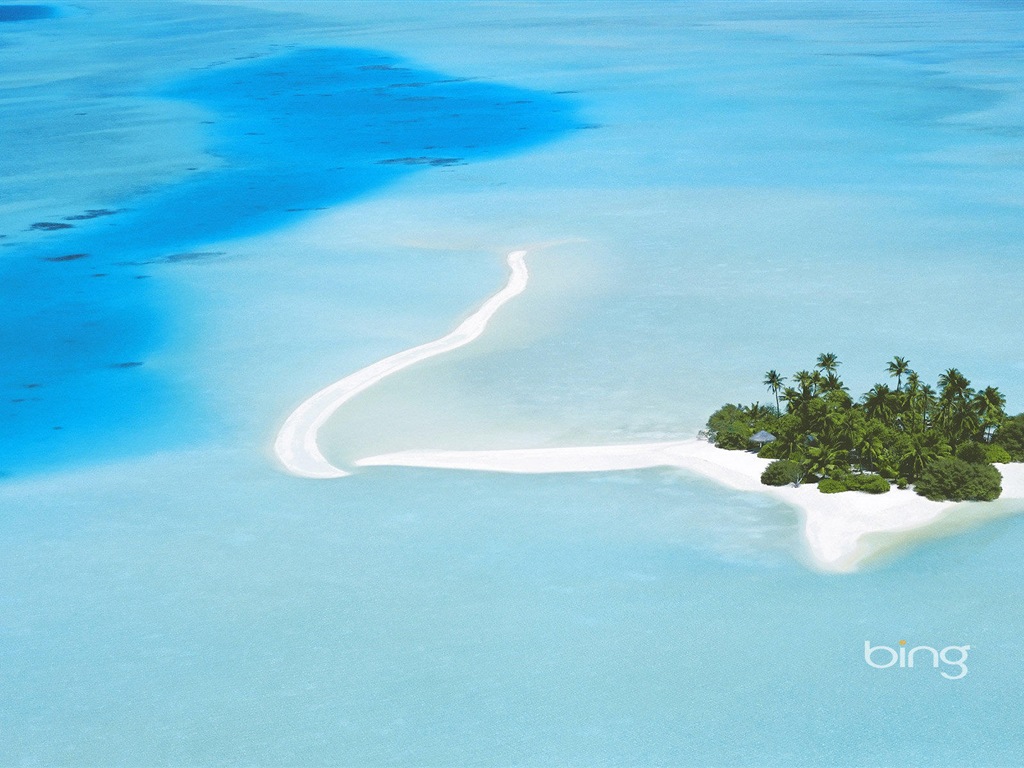2013 Bing 必應官方動物和風景高清壁紙 #21 - 1024x768