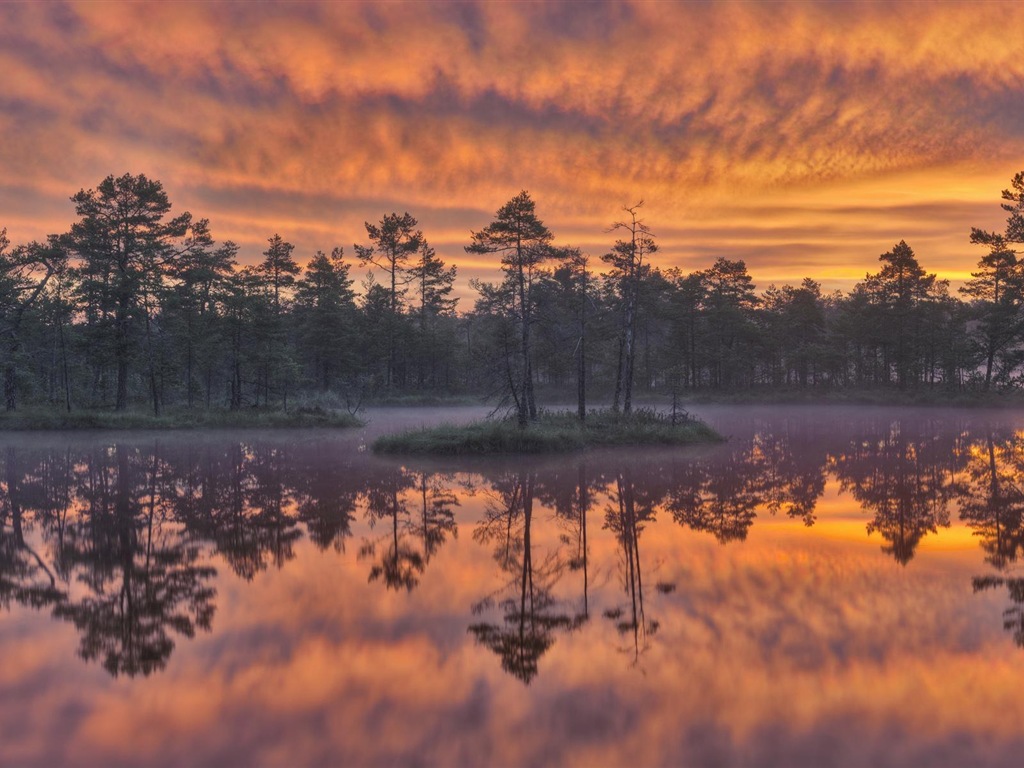 瑞典四季自然美景 高清壁纸11 - 1024x768