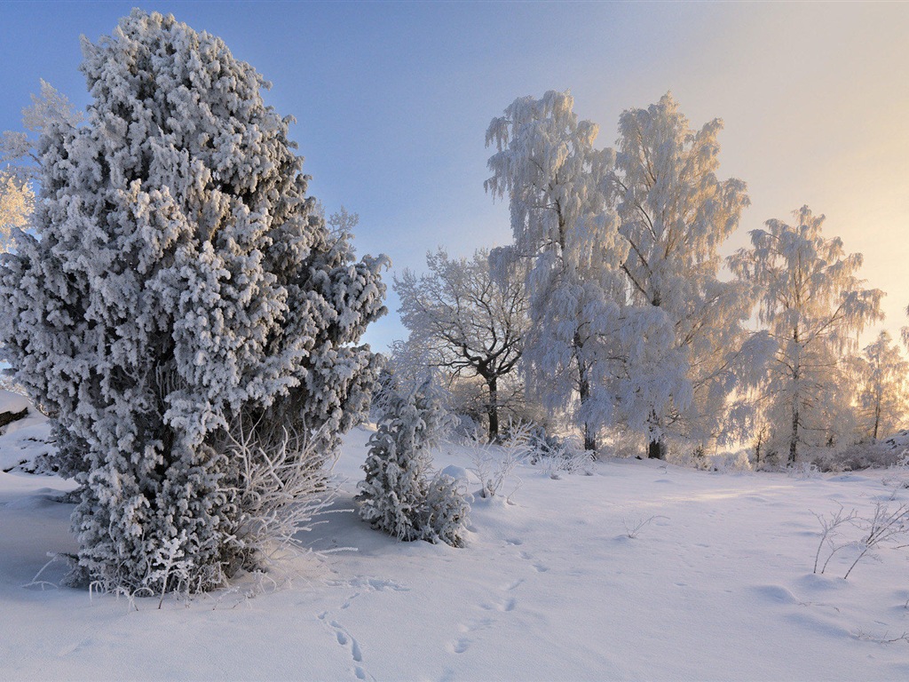 スウェーデンの四季の自然の美しさのHD壁紙 #19 - 1024x768
