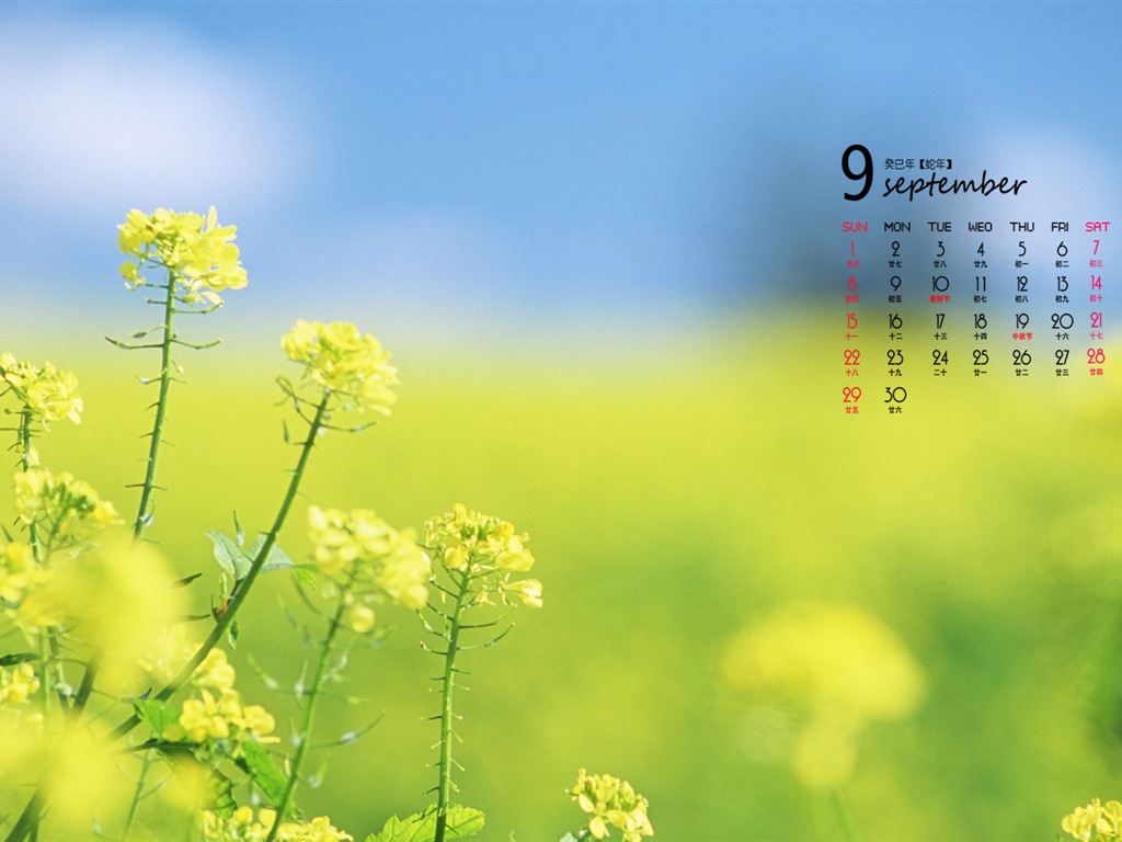2013年9月 月曆壁紙(一) #4 - 1024x768