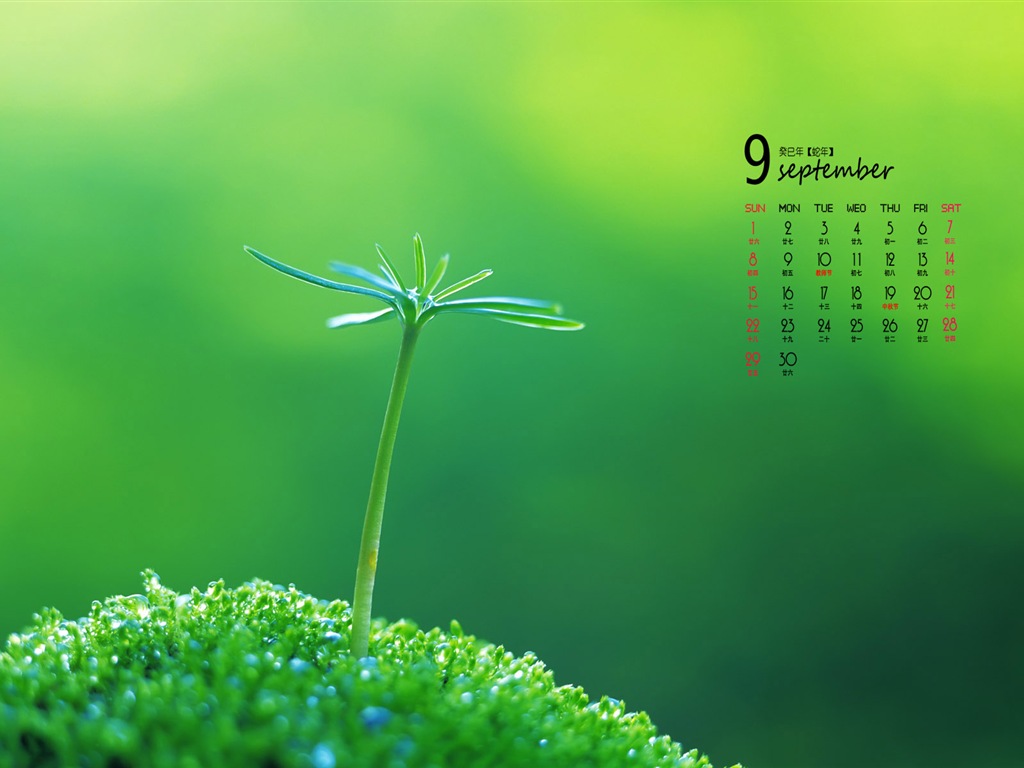 September 2013 Kalender Wallpaper (1) #5 - 1024x768