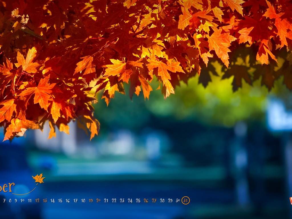 October 2013 calendar wallpaper (2) #12 - 1024x768