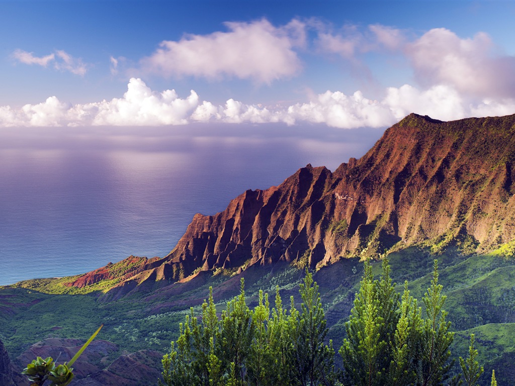윈도우 8 테마 배경 화면 : 하와이 풍경 #12 - 1024x768