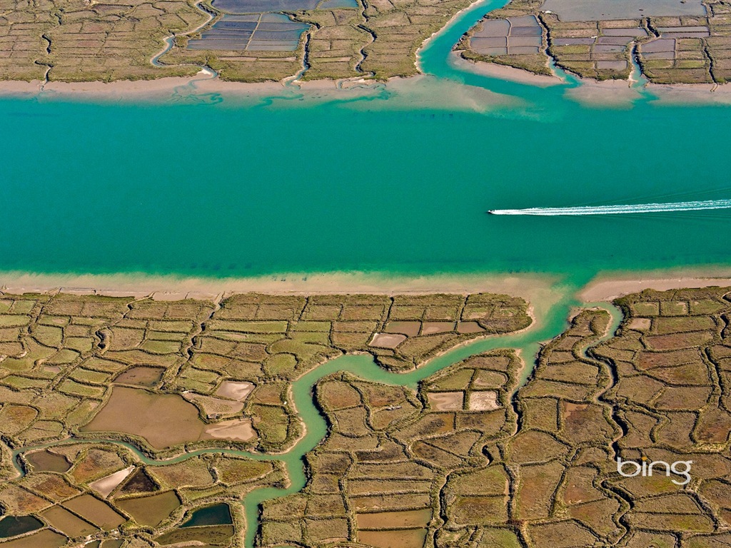 2013 Bing 必应秋季风景、动物、城市高清壁纸17 - 1024x768