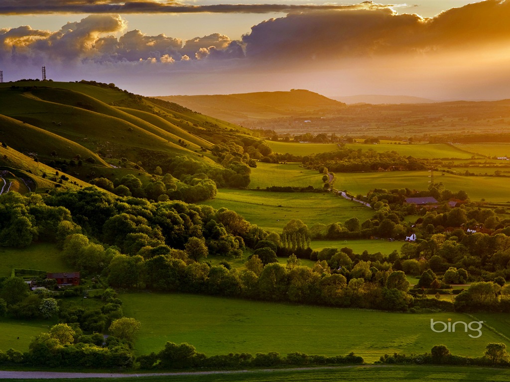 2013 Bing 必应秋季风景、动物、城市高清壁纸18 - 1024x768