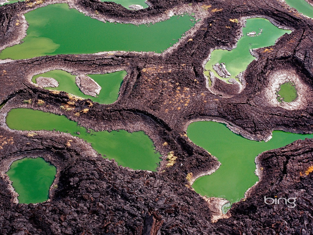 2013 Bing 必應秋季風景、動物、城市高清壁紙 #26 - 1024x768