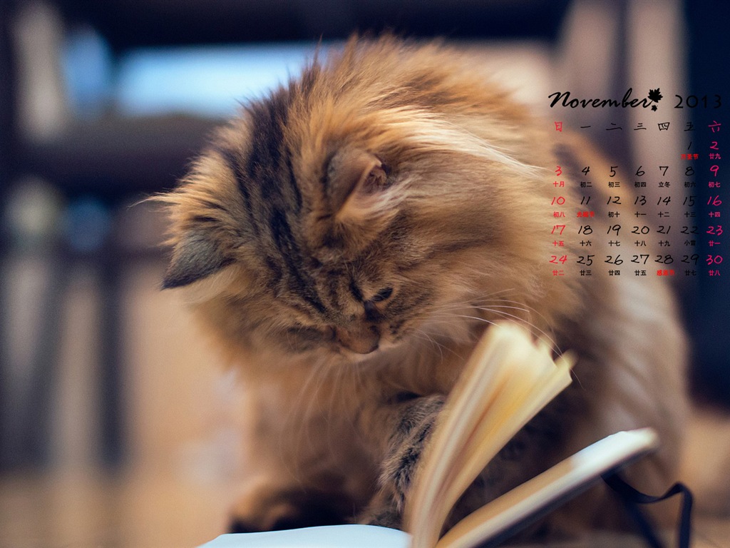 2013年11月 月曆壁紙(一) #3 - 1024x768