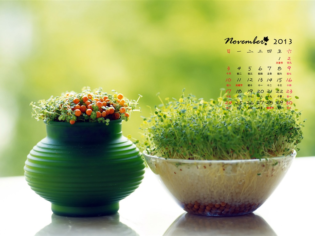 November 2013 Calendar wallpaper (1) #8 - 1024x768