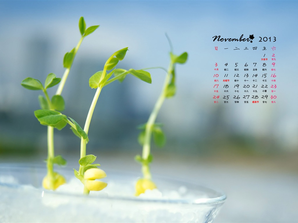 November 2013 Calendar wallpaper (1) #10 - 1024x768