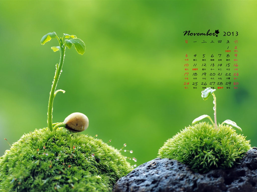 November 2013 Calendar wallpaper (1) #11 - 1024x768