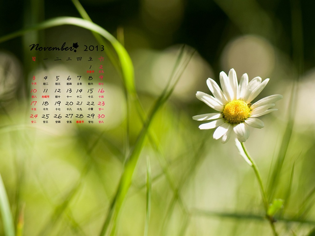 November 2013 Calendar wallpaper (1) #14 - 1024x768