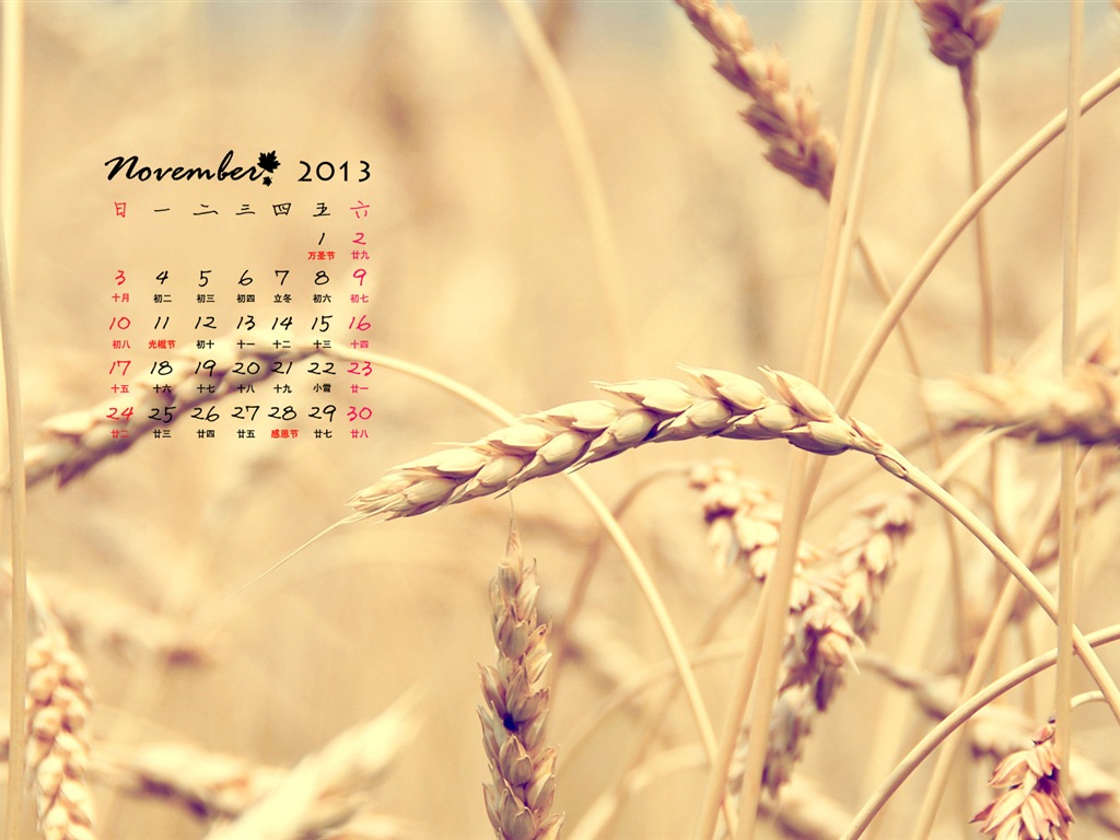 November 2013 Calendar wallpaper (1) #16 - 1024x768