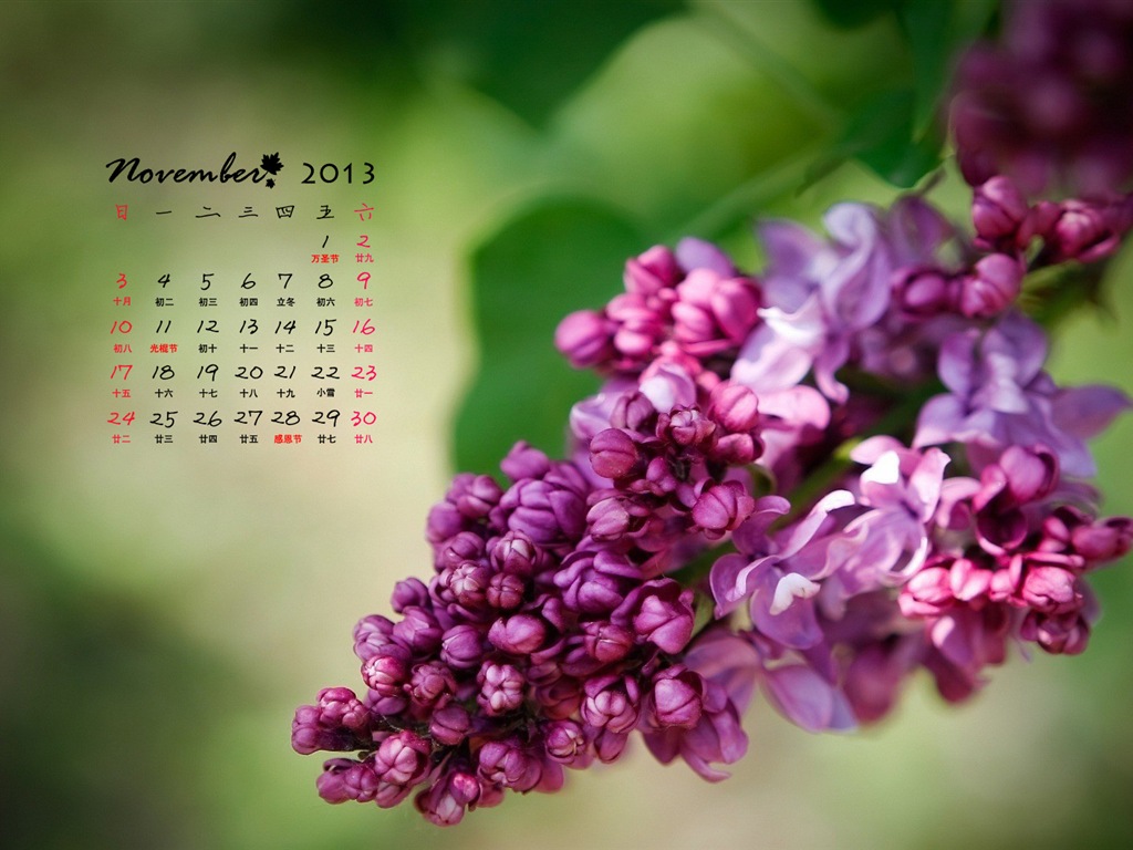 November 2013 Calendar wallpaper (1) #18 - 1024x768