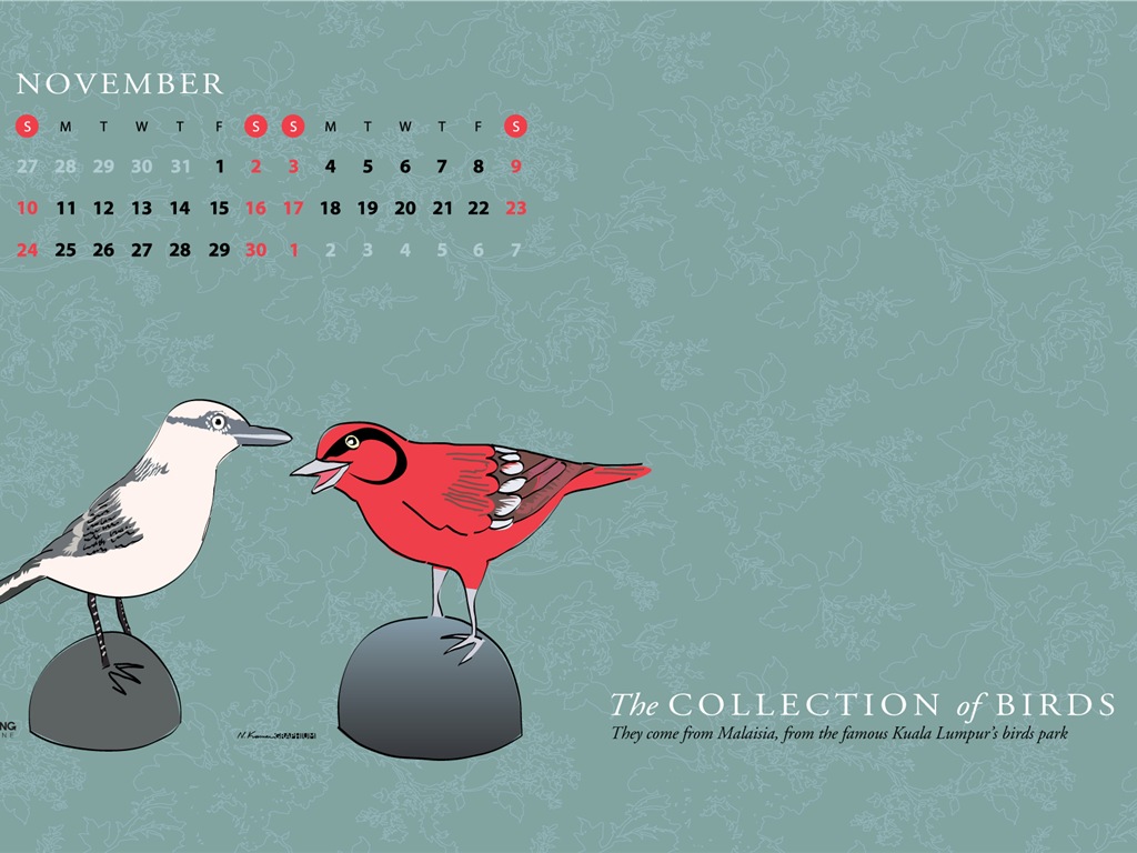 Novembre 2013 Calendar Wallpaper (2) #4 - 1024x768