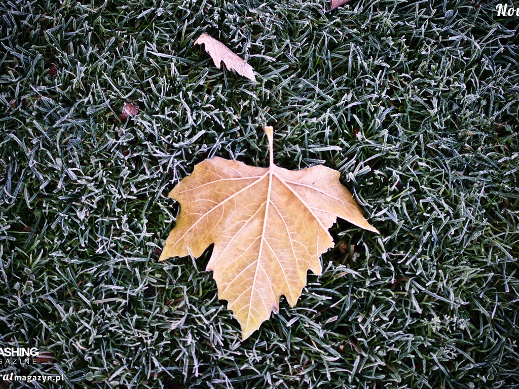 2013年11月 月曆壁紙(二) #18 - 1024x768