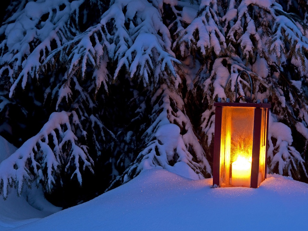 Windows 8 主题高清壁纸：冬季雪的夜景2 - 1024x768