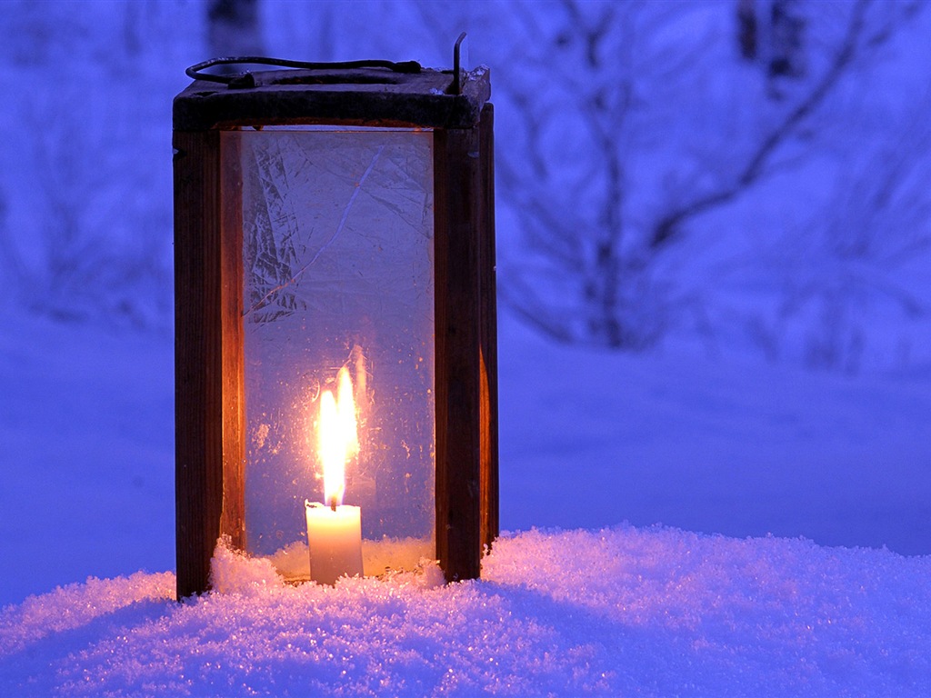 Windows 8 主题高清壁纸：冬季雪的夜景6 - 1024x768