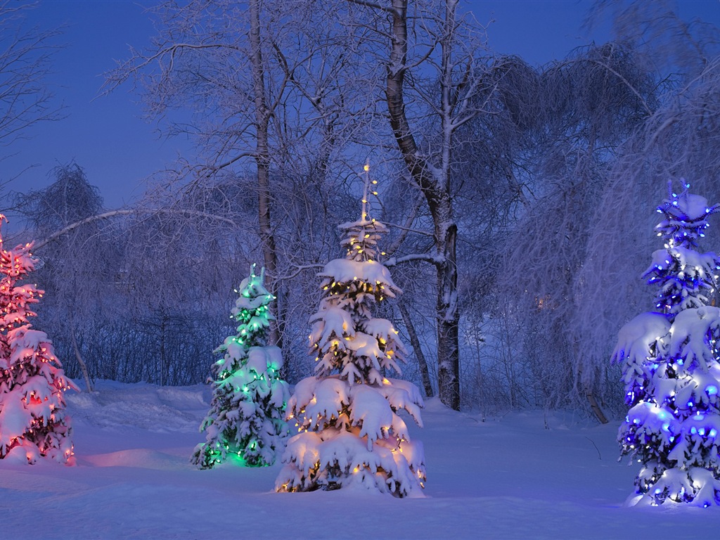 Windows 8 主题高清壁纸：冬季雪的夜景8 - 1024x768