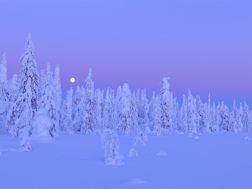 Windows 8 主題高清壁紙：冬季雪的夜景 #12 - 1024x768