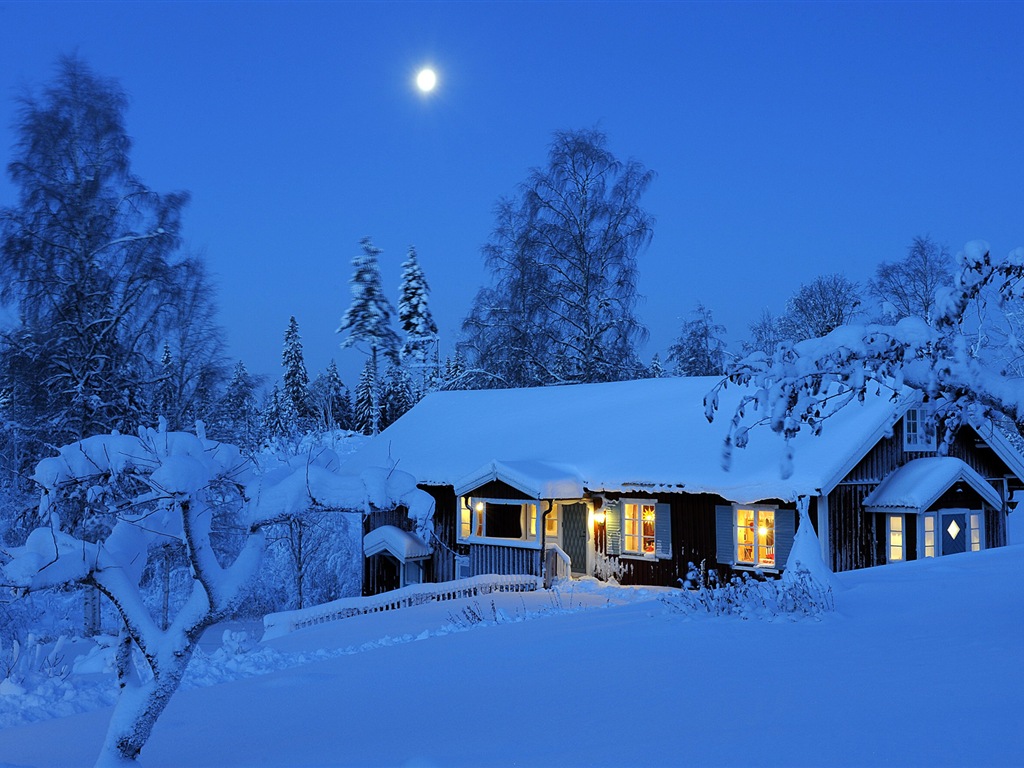 Windows 8 主题高清壁纸：冬季雪的夜景13 - 1024x768