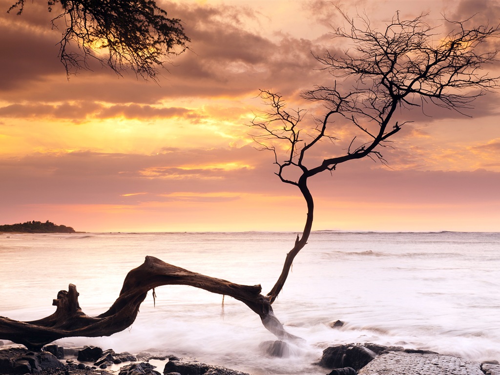 Windows 8 主題壁紙：海灘的日出日落美景 #5 - 1024x768