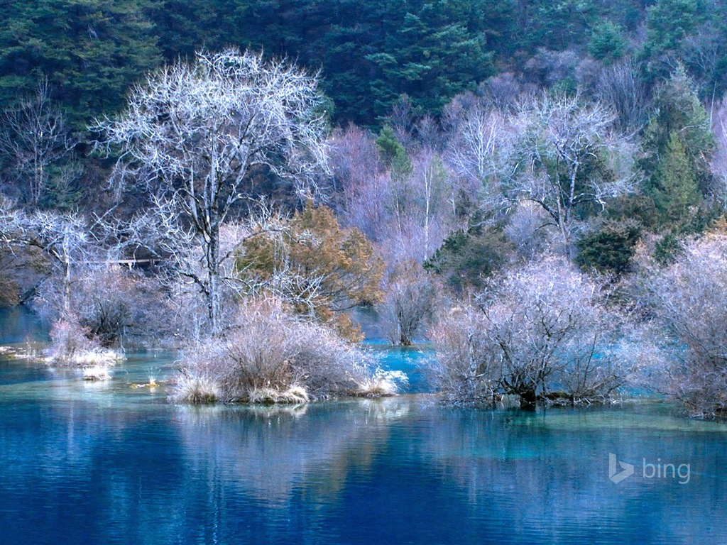 Microsoft Bing noviembre fondos de pantalla de alta definición exquisita #12 - 1024x768