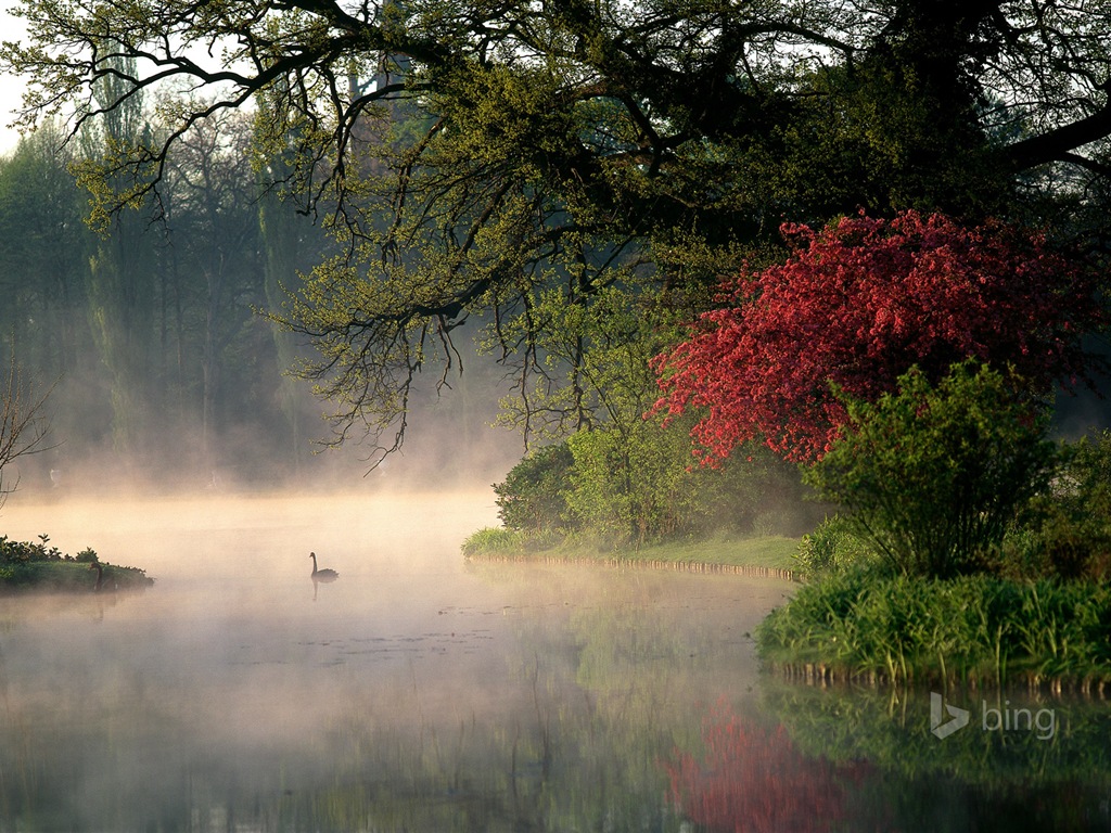 Microsoft Bing noviembre fondos de pantalla de alta definición exquisita #25 - 1024x768