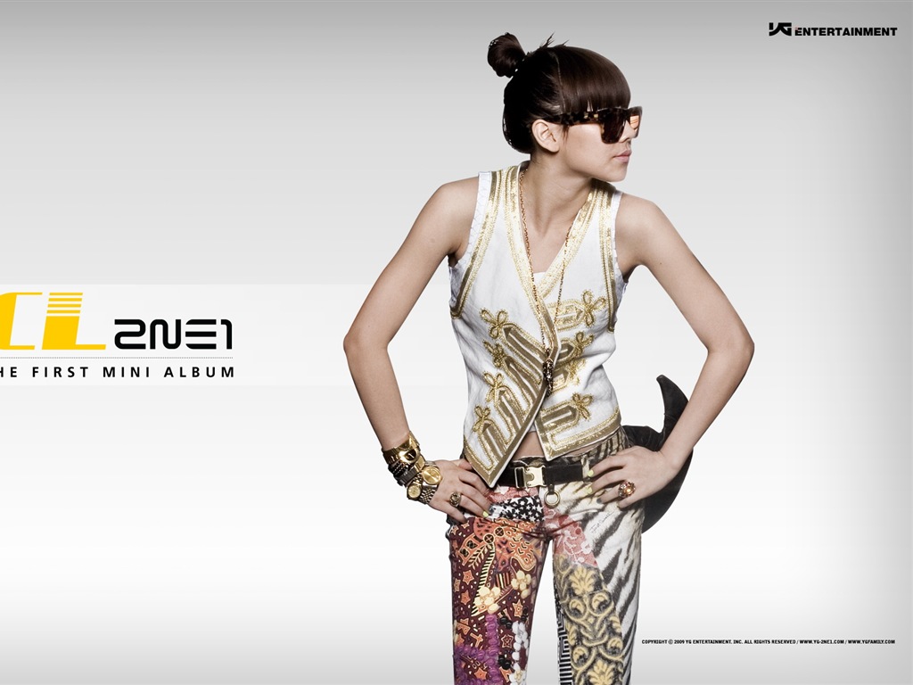 Korean music girls skupina 2NE1 HD tapety na plochu #3 - 1024x768