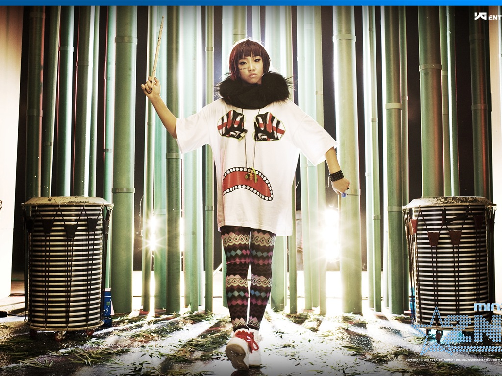 韓國音樂女孩組合 2NE1 高清壁紙 #15 - 1024x768