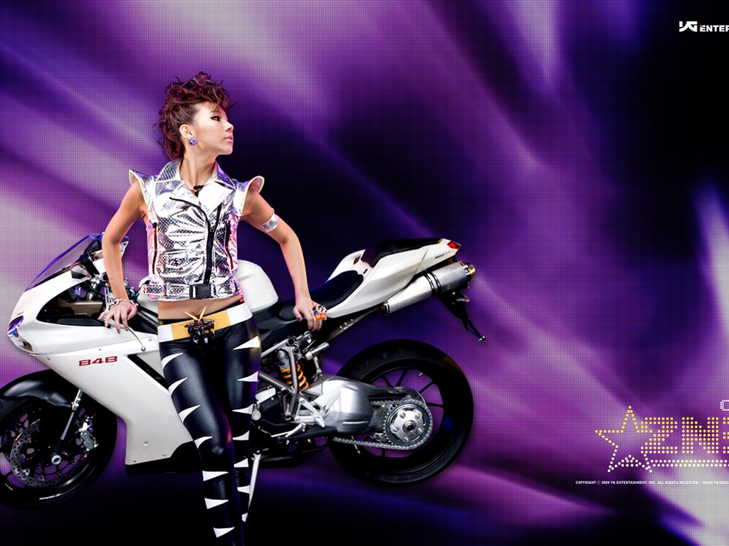 韓國音樂女孩組合 2NE1 高清壁紙 #19 - 1024x768