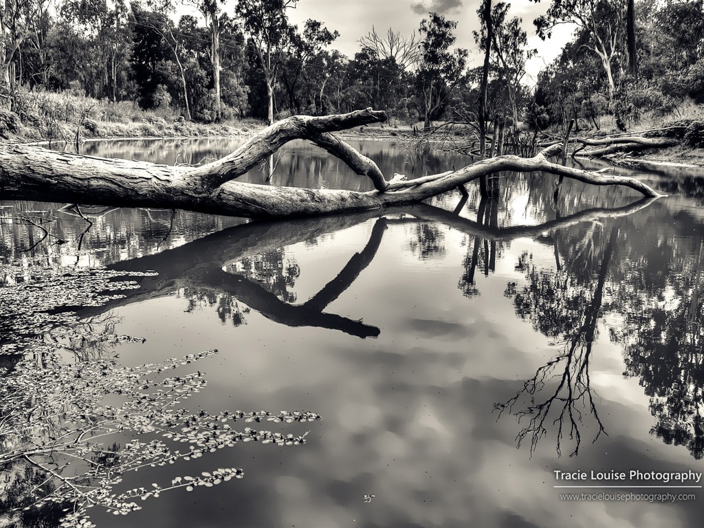 Queensland, Australie, de beaux paysages, fonds d'écran Windows 8 thème HD #11 - 1024x768