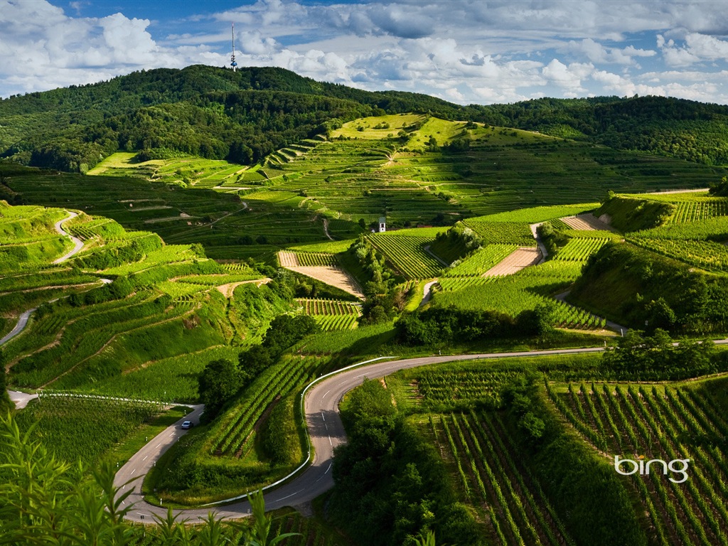 Sélection de fonds d'écran Bing en Janvier 2014 #3 - 1024x768