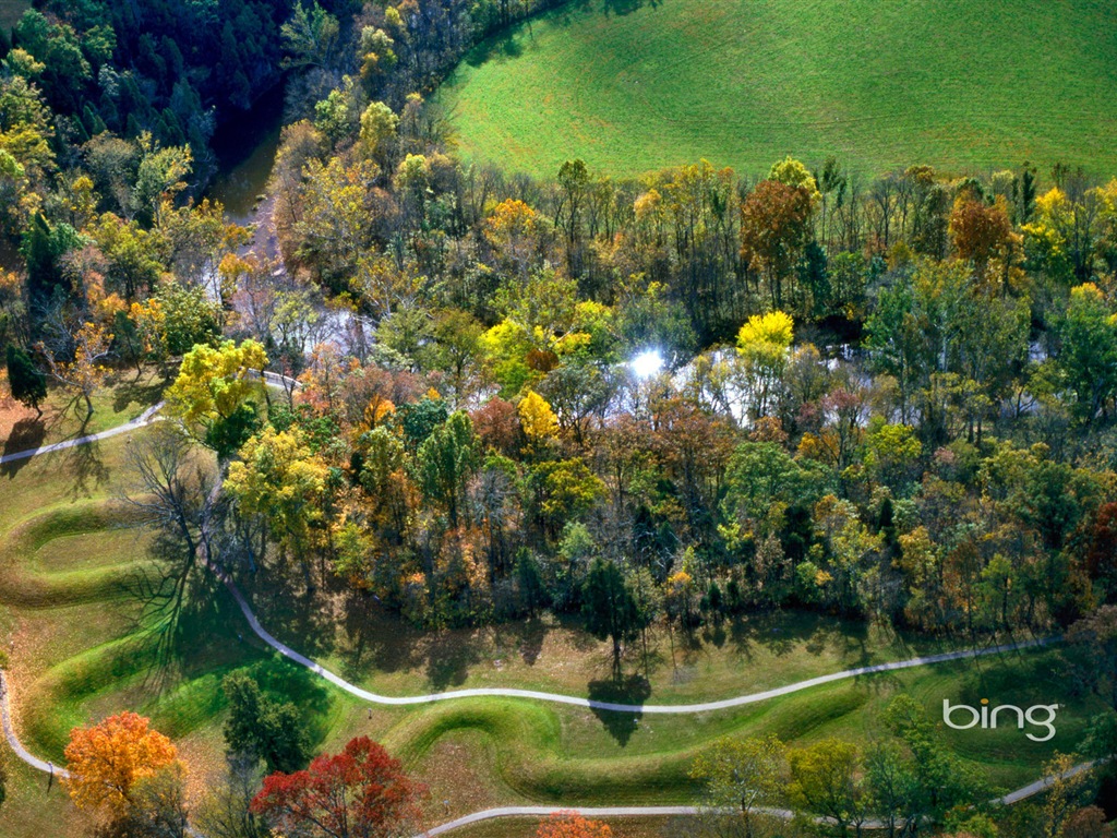 Sélection de fonds d'écran Bing en Janvier 2014 #11 - 1024x768